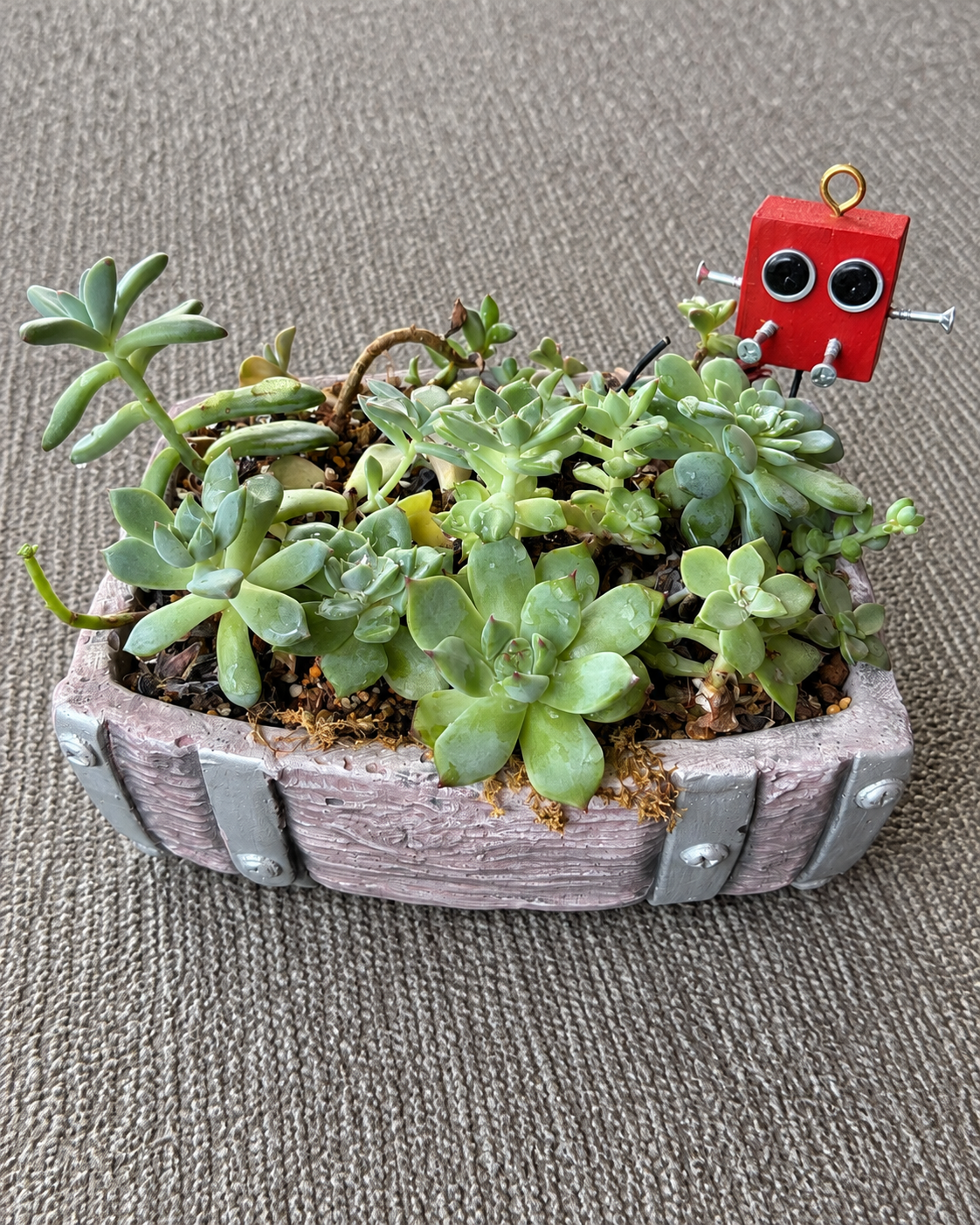 木目調の鉢に植えた多肉植物の寄せ植えと赤いロボットの飾り